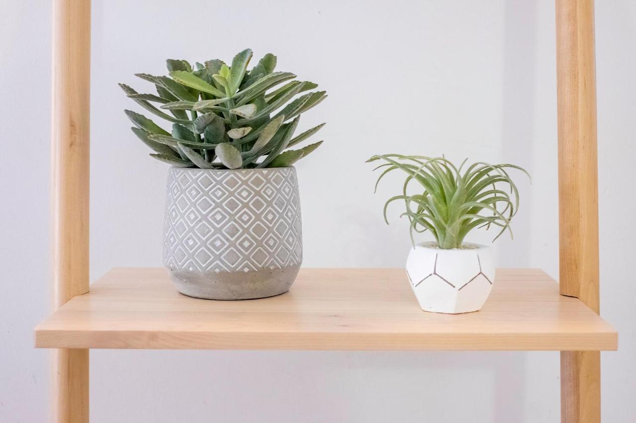 Apartamento Gaia's Garden -nova Decoracao! *